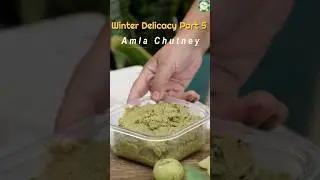 Secret to Perfect Amla (Gooseberry) Chutney in winters l 1 week shelft life Winter Delicacy P-5