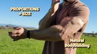 PROPORTION MAXX 💪 *(DO NOT 🚫 SCALE MAXX)