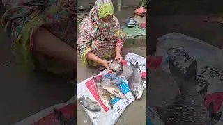 স্বামীর কাছে বাচ্চা রেখে অফিসে যায়, আমার অনুপস্থিতিতে স্বামী যা করে দেখলে বিশ্বাস হয় না 😭