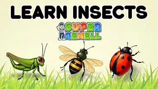 Kids Learn Bugs & Insects Educational Toddler Learning Video | Baby Learn Nursery Rhymes & Kids Song