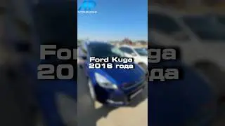 Проверили для клиента Ford Kuga 2016 года
