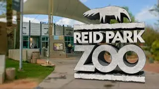Families Visit Reid Park Zoo for the Weekend