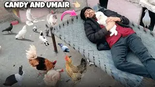 Candy Hor Umair 4pai Pay Soo Gay 🤣😜| Pigeon Nay Egg Diya 😜 