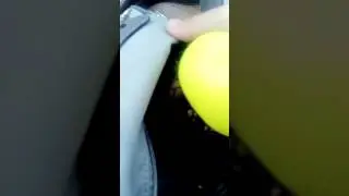11 июня 2017 г.