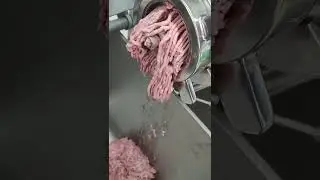 meat grinder for whole whole chicken with bones #machine #meatprocessing