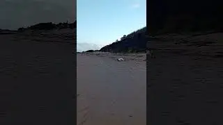 Джейк#собака#семья