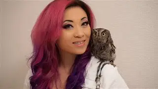 Yaya Han - Japan Vlog - Owl Cafe!