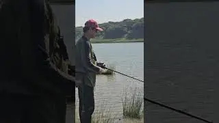 River fishing#fishing #fish #viralreels #viral #shortvideo #trending #catchingfish #maral#snakehead