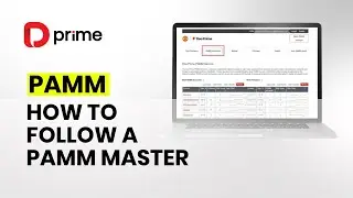 PAMM - How to follow a PAMM Master