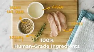 100% Human Grade Full Moon Dog Treats