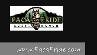 Paca Pride Radio Spot