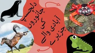 Dilchasp Janwaron Ki Abadi Wale Jazeeray | Interesting Animals Population Islands | Universal Datcom