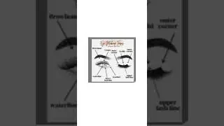 Eye makeup Terms