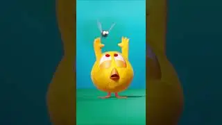 Don't get upset #chicky | Chicky Cartoon in English for kids