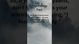 Yawn Bond: The Unspoken Language of Empathy 😴🤝#psychology #facts #psychologicalfacts