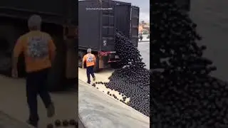 96 million black balls were dumped in Los Angeles