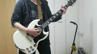 【guitar cover】H.I.M. buried alive by love (Digital versatile doom ver.)