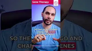 Gene Therapy For Epilepsy