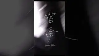 Stray Kids ｢宿命 -Spotify Live Version-｣公開！