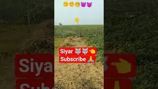 🦊 आज देखा सबसे खतरनाक सियार | Real Wildlife Video 😱 #funny #siyar#comedy #kisan #2026 #cartoon