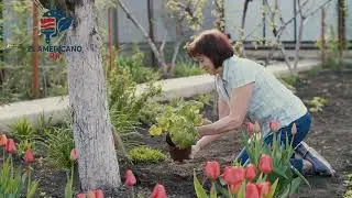 Trusted Plantation Company | Green Spaces Made Easy