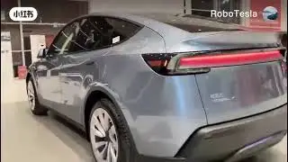 Meet the NEW Tesla Model Y in Quicksilver!