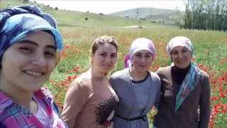 DOĞA HARİKASI MİSK KOKAN HAVASIYLA BATMANTAŞ KÖYÜ................