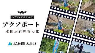 GO!GO!デジタル化②【アクアポート】