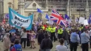 UK police and pro-Brexit activists scuffle in London