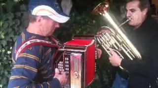 TRGATEV 2010:1