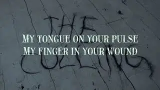 Chelsea Wolfe - The Culling (Retroman's karaoke version)