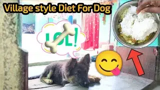 Village style Diet Of German shepherd dog 🐕&zwj;🦺 Village Life | Chery The Shepherd 