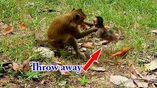 DeeDee dragged Baby Danieala the threw her away | DeeDee hang up Daniela till up legs on group