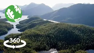 The Emerald Edge: Nature's Guardians (360&deg; Video)