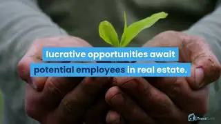 The job market trend in india | Transcruit