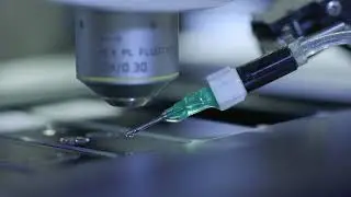 Cancer care innovation - Mayo Clinic