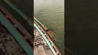 Boat fishing video | Unbelievable boat fishing in flood water (part_1) #shorts #fishing #boat #viral