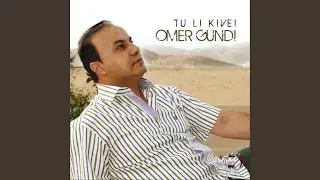 9- Hei Dile Min