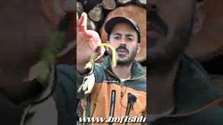 🔥 B&aacute;sico para el black bass 🎣