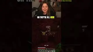 It bee an invasion in Minecraft