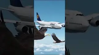 Can Eagles Interfere with Lufthansa 747's Automated Flight? #lufthansa747 #aviation #flight