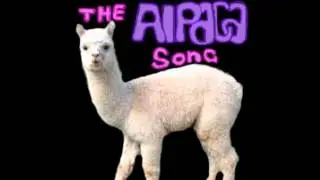 The Alpaca Song
