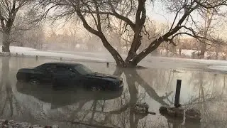 Woman rescued from floodwaters
