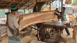 Ultimate Wood Cutting Machine: A Must-See!|| Dangerous Wood Cutting Machine Work in Bangladesh