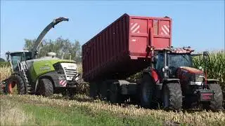 Bart Sprangers mais hakselen 2025 , Claas Jaguar 960