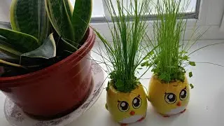Асалому алекум❤суманак мондм🥰