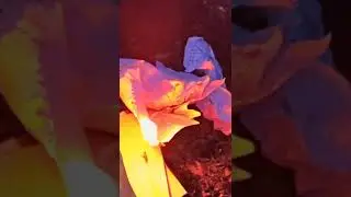 My life is on fire #burning #burn #notes #motivation #newlife #goodbye #asmr #fire #fireplace