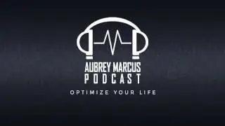 AMP #06 &ndash; Создатель ДМТ: Молекула духа с Митчем Шульцем | Подкаст Обри Маркуса
