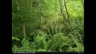 Homes for Sale - 9142 Bordeaux Road SW, Olympia, WA