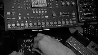 Typhon Funk Bass jamming